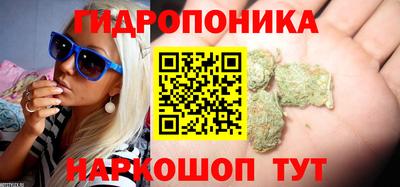 ECSTASY Кандалакша