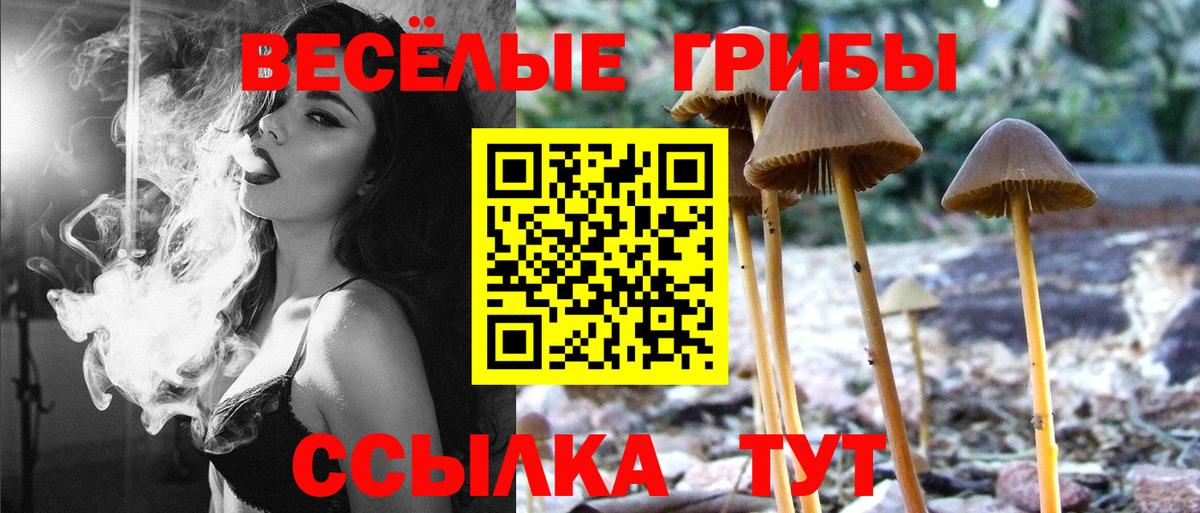 Кудымкар  даркнет сайт  Псилоцибиновые грибы прущие грибы  Вход с VPN  Галлюциногенные грибы прущие грибы 