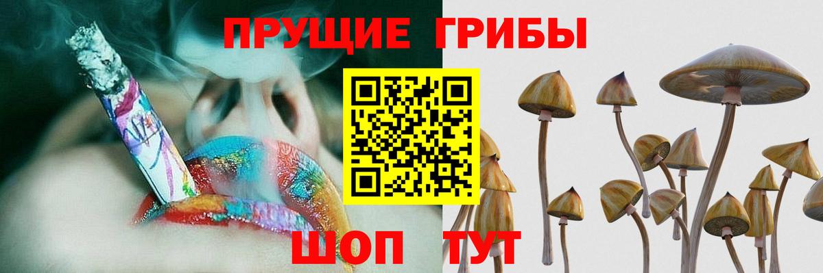 Галлюциногенные грибы Cubensis Кудымкар